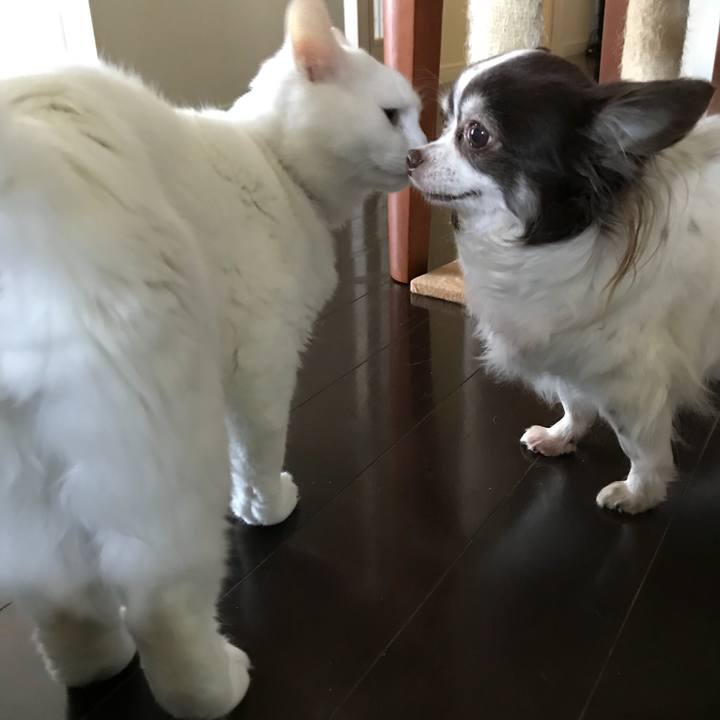 F250c697 f2bf 4edf 9299 0252cfd20eb2 1515205017647