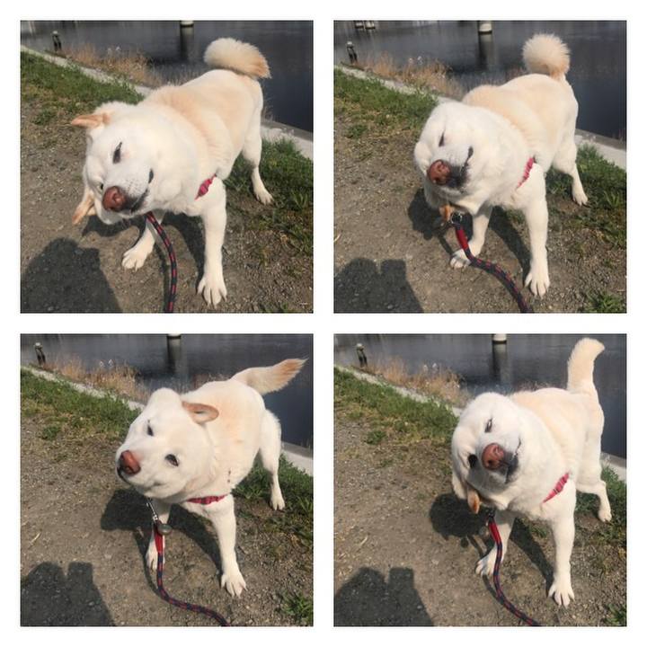 F25109d6 034b 4ed4 84a9 de01fdb65e2e 1522713645254