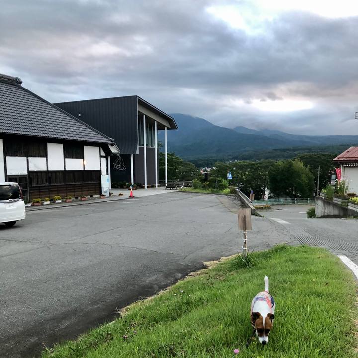 F2511285 ee1d 482e 9471 23d9be11bbb8 1598955632196