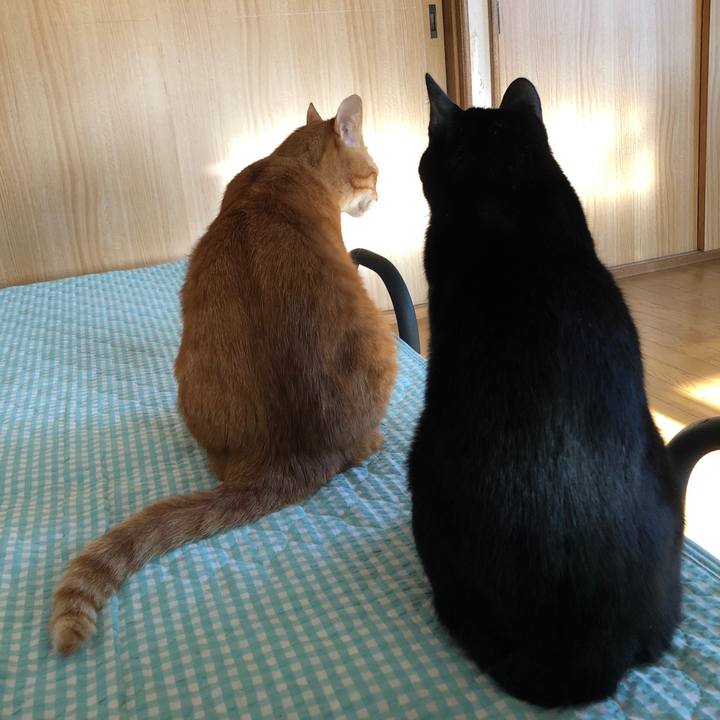 F25125a6 756b 4366 8b36 ab94d130c0bd 1662241952449