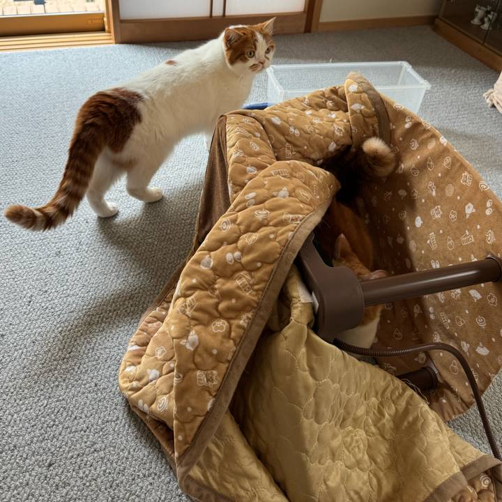 F251453c 63cd 413a a07d 9e748fa1b51b 1772764937054