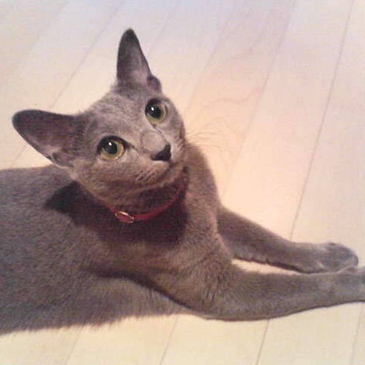 F2516223 8416 4595 af97 f55a310418ff 1550835786276