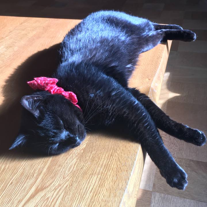 F251799f fdf7 48b9 94cb f02d1b5c78b5 1535869940733