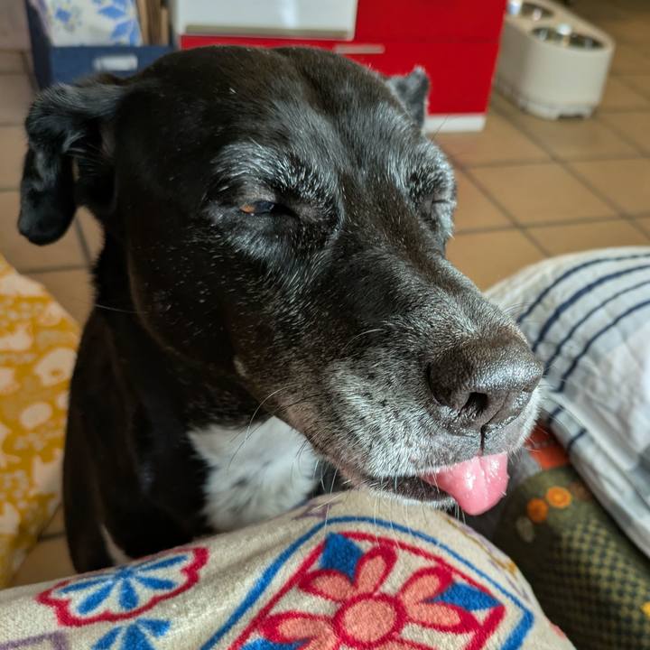 F25180f2 9d0c 4af2 b7de c9b8703fd315 1734655188420