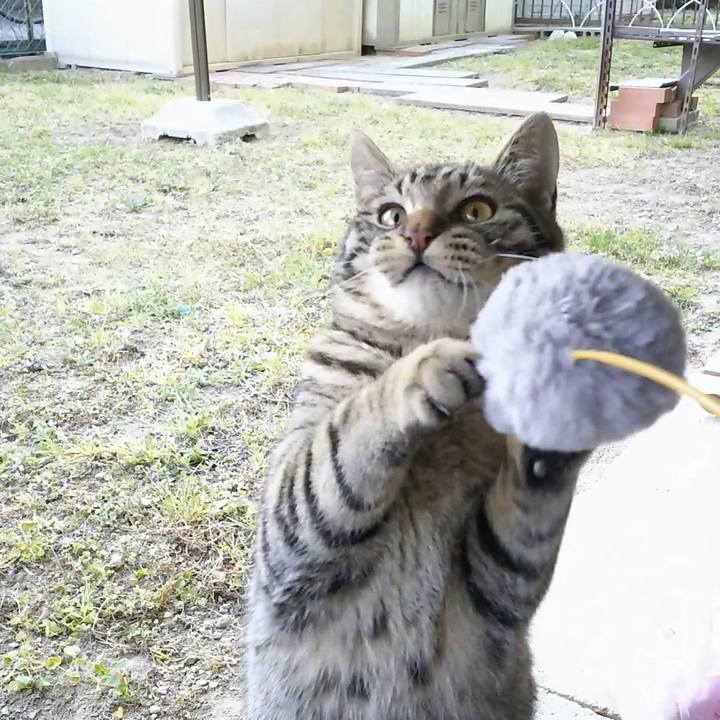 F251b193 b435 4c5d 84cd c69bed636fea 1554277342611