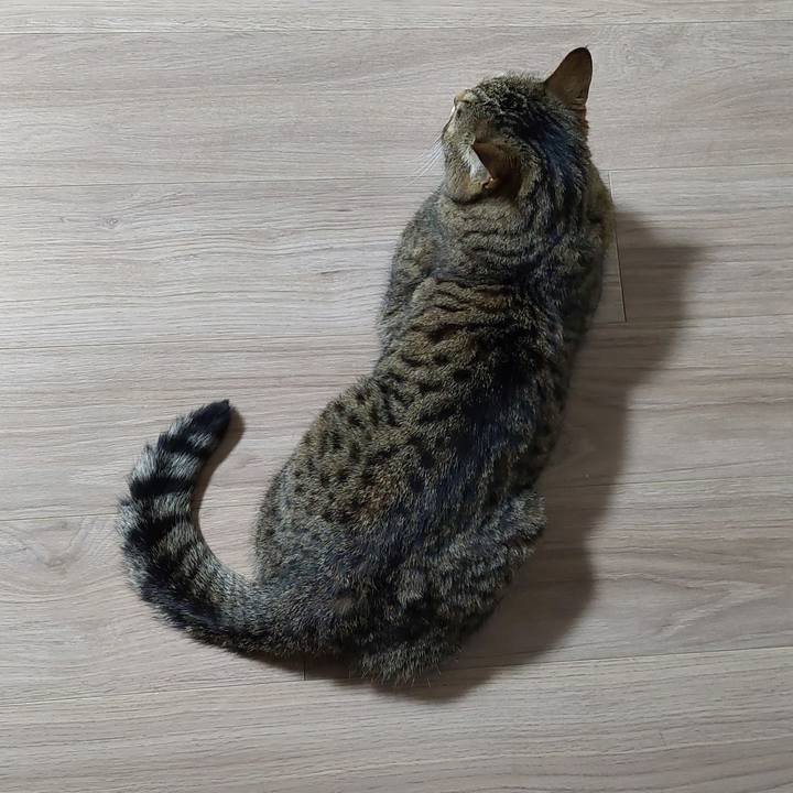 F251bfbc c346 448d 9217 4496282da249 1738878266144