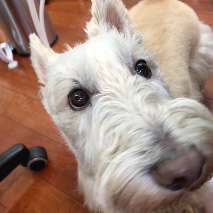 F251c020 1fe7 4cec acd0 107f9cbd24ea 1552662378533