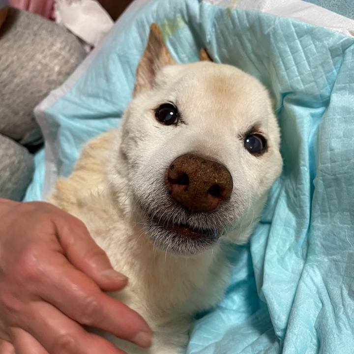 F251c79b 06f0 428a 9ba2 b82ffc9f1a6f 1679062649658