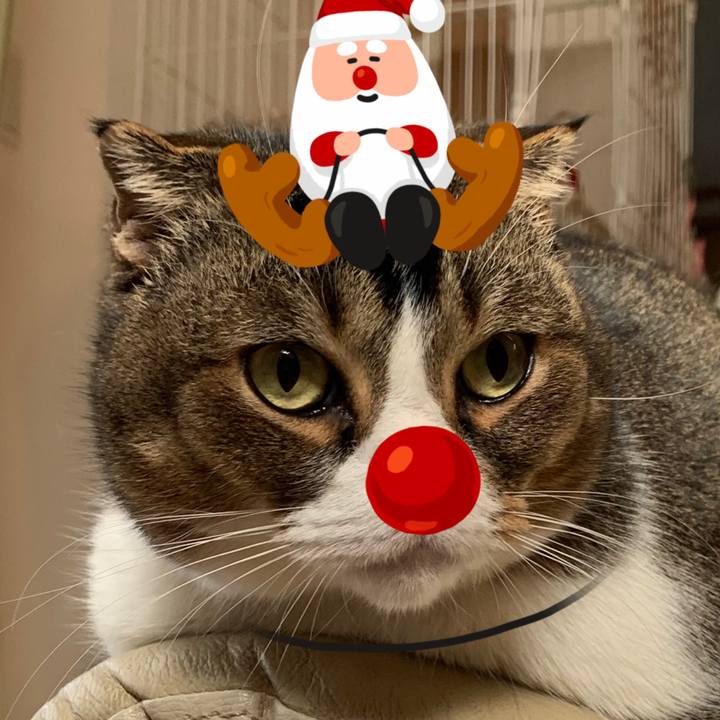 F251d533 7c01 4e32 8f21 b22043d49c9b 1577358110638