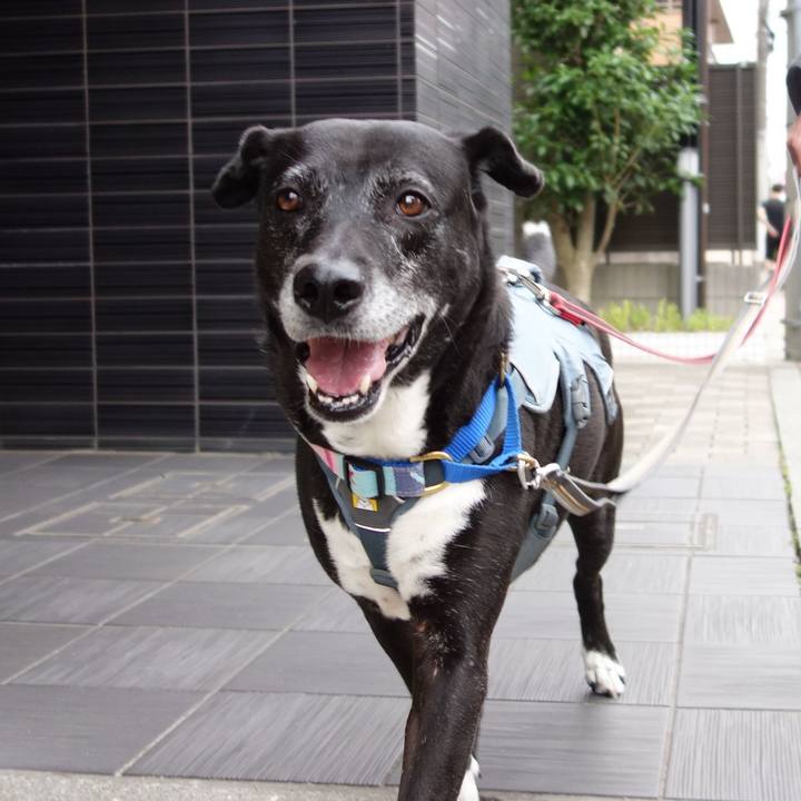 F251d54f 8f3d 490a 8591 a4be436f486f 1747960106060