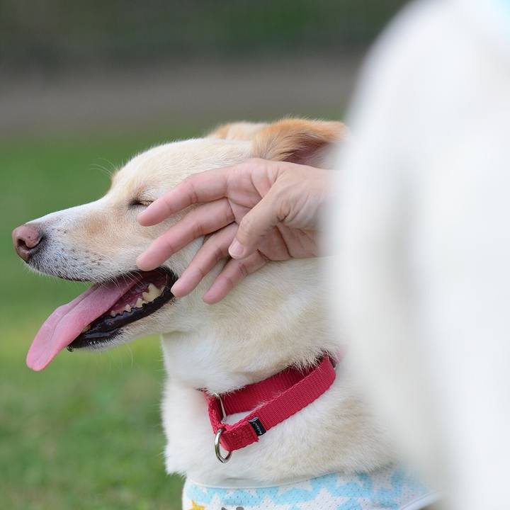 F251f084 bc93 4f48 8617 0510ac8de54e 1530187324849