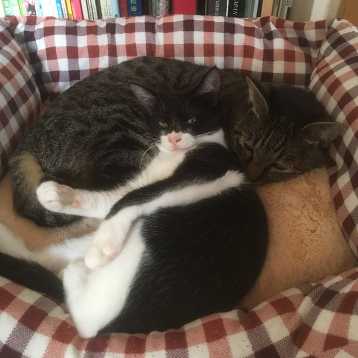 F252014f 73d1 42f9 aac3 6415abb3734b 1508495113083