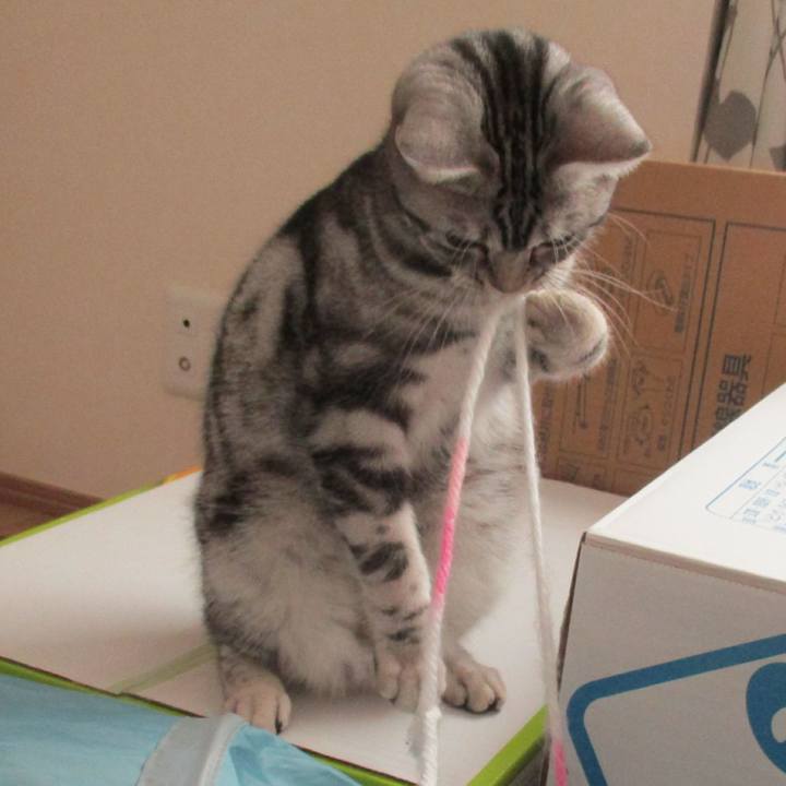 F252211d a14e 4f80 b08b 87a2ac3eeeed 1547457574857