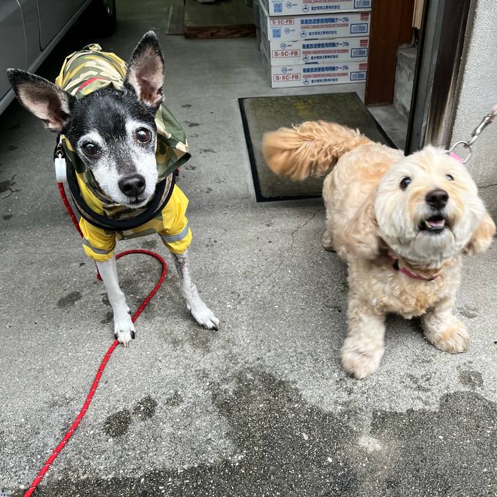 F2525854 ea10 4830 b86f 48b757e15546 1655156791105