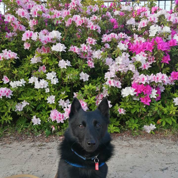 F25267f1 2dd2 4f31 9d12 0a8ca0e7d64f 1619384502092