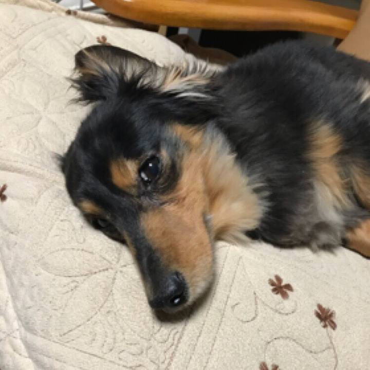 F2527aba 360a 4054 999b c272461077cf 1524578165785