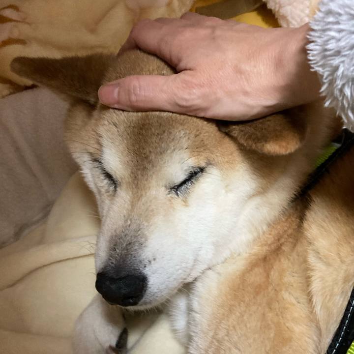 F252c61c ba04 456f a55c 75f6ded3279d 1611118755345