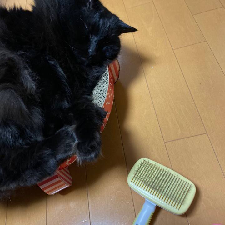 F252d053 98fc 4fac b401 c63542815c34 1575968382475