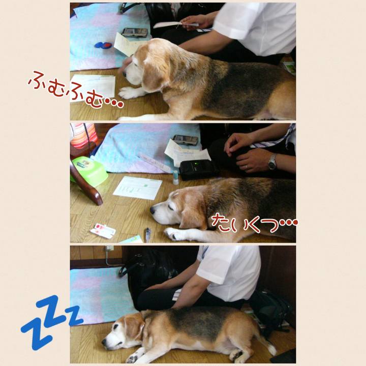 F252df8d e1d4 4031 bcff 7859433011eb 1665967078750