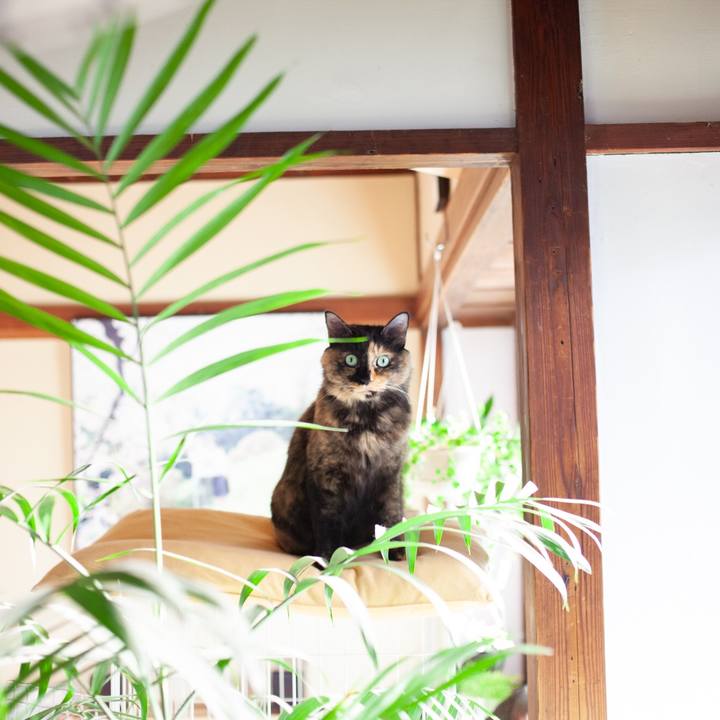 F252f591 3a3f 4816 9206 52dcab84e42b 1574222054678