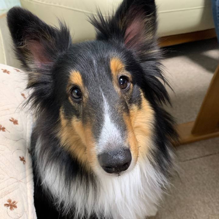 F2531570 2849 4fcf 9fc7 e4d83f4de5a6 1584829170668