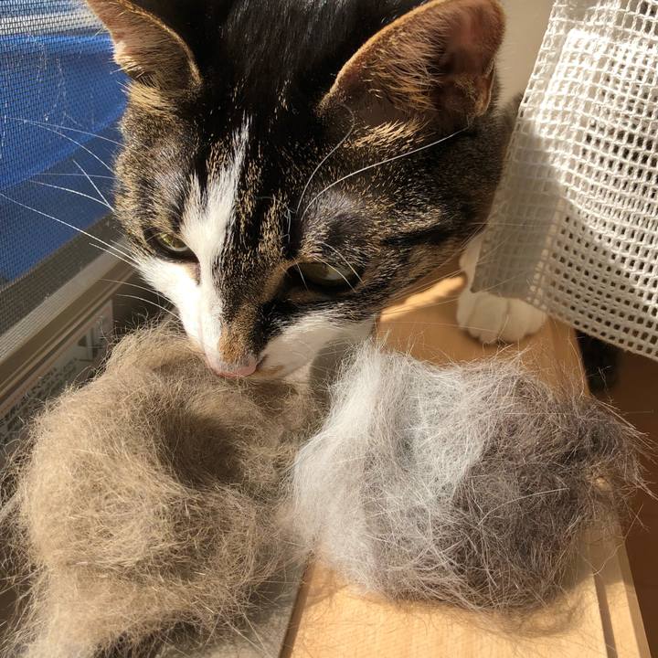 F2531cb7 ba56 494b bc38 9ce89de9ff81 1521130199942