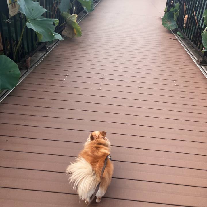 F2534456 f3e3 4dce 802a 3f657fdbff82 1758523233753