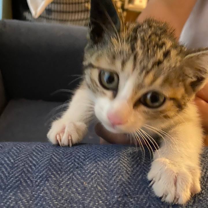 F2536a54 ca6f 42e1 b97d 0045c4b48669 1593666539475