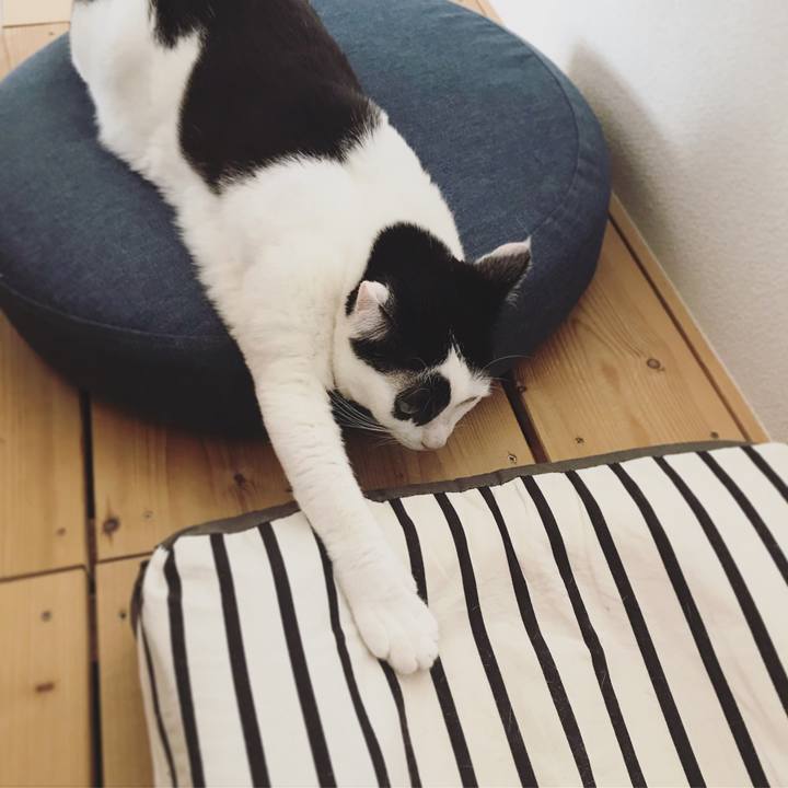 F2536bb5 60a8 46b8 91e9 e1a53bfdfbd3 1556024733159