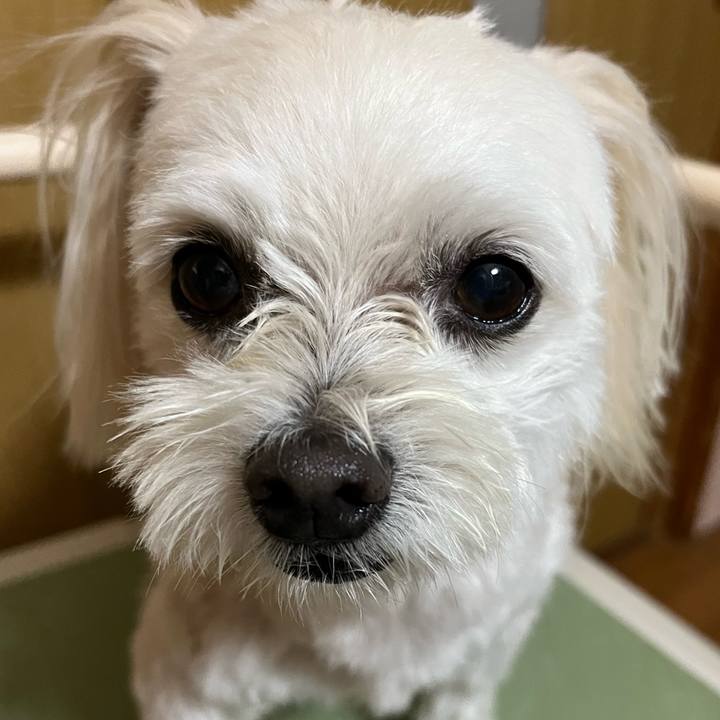 F253bceb 0531 48dd a73e cf9ef3cb50c3 1696150018554