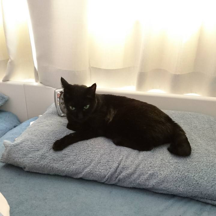 F253cd55 8ac9 44cb a335 3667beb597fd 1538000490610