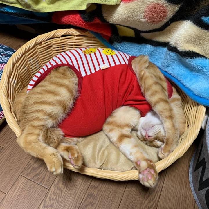 F253f94d 550a 4fb0 8280 b6cbb7b00164 1577620266381