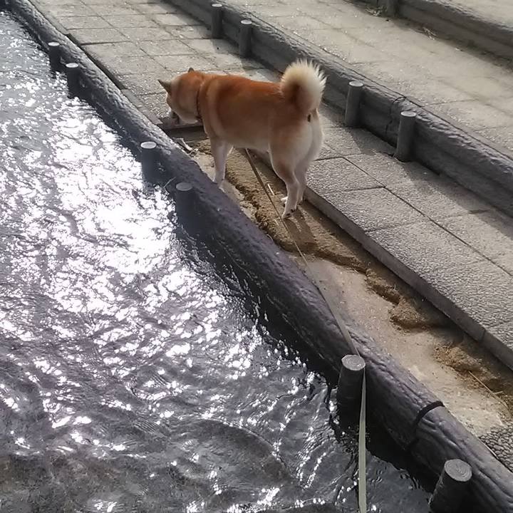 F25403dd b0eb 4709 ae95 d399ea3799eb 1606625861588