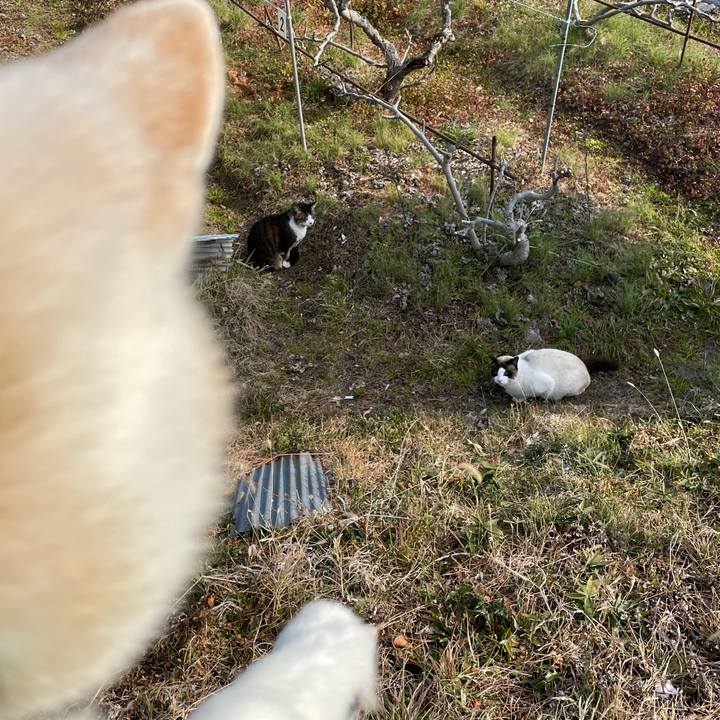 F2540a19 8d6e 43f8 9fcf 1403488ca718 1645596889609