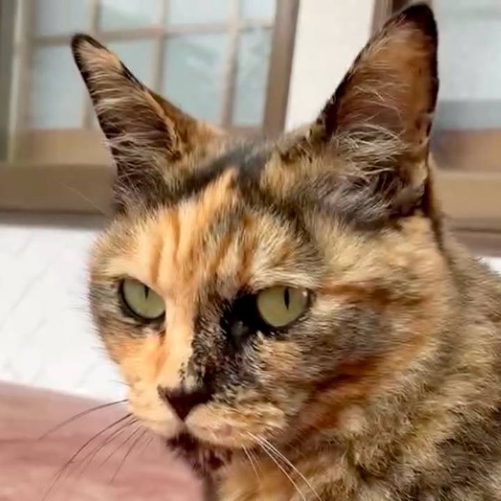 F2541ad1 1df4 428e 913c 531df5ff06a1 1748936277046