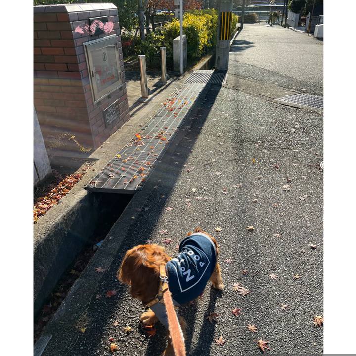 F2544f09 b8de 4447 ac26 fdb22180264e 1671324320458