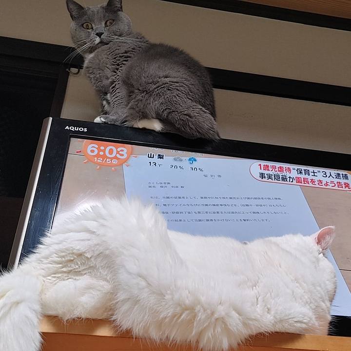 F2545d01 65ad 4dec b018 b09839dc5758 1670212755637