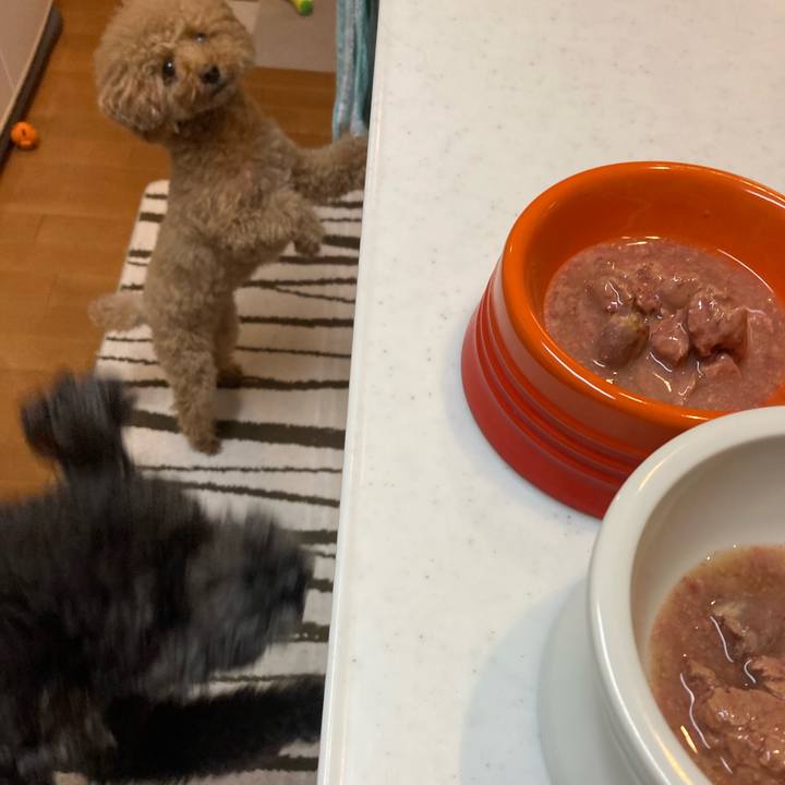 F2546241 3582 4f52 8842 399bc138b40e 1672069810769