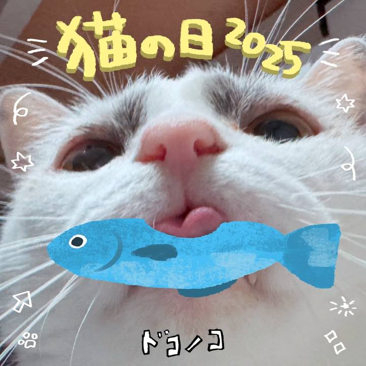 F2546e6e 11c1 46f5 98e2 ef7e3fc8561b 1740224979435