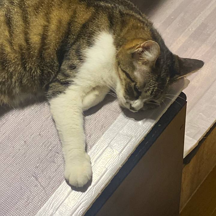 F254a7a5 ba87 4e78 9284 7dfc18fd838d 1626956990314