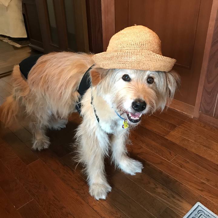 F254d3e9 9b6a 4d31 8a62 02a7b8429742 1591925602871