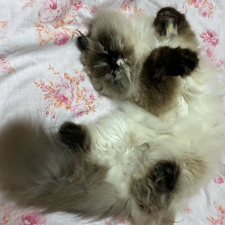 F254e533 8924 48d7 8236 db5010d01bc1 1717850408994