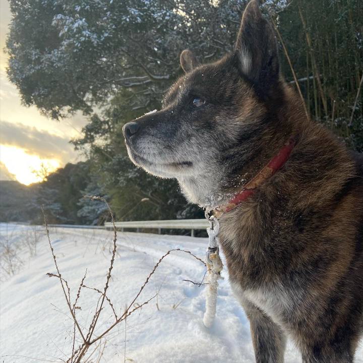 F2556926 b04f 48b7 b2e8 8006645e78e7 1609465503737