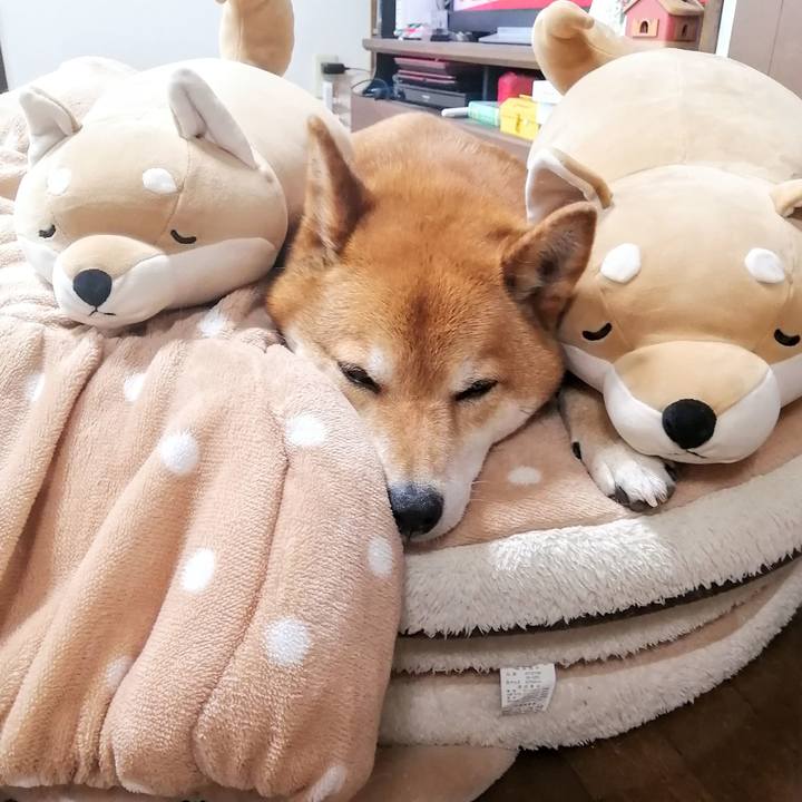 F255710a 81db 4272 ad50 667ca8f91112 1621130777490