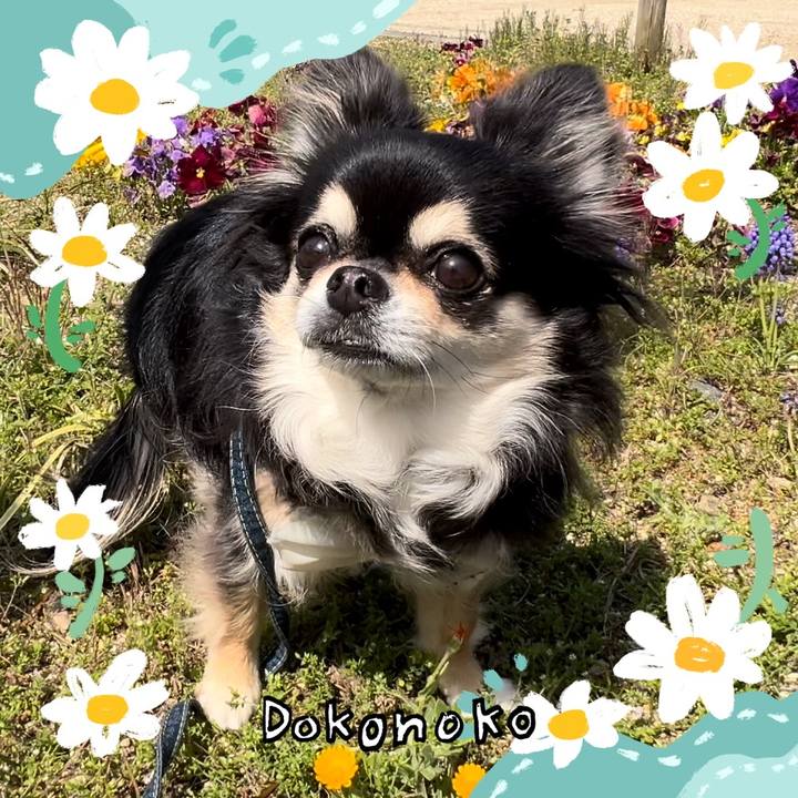 F25594eb 432b 4e5a 88d2 ed48d9e6d568 1712214581763