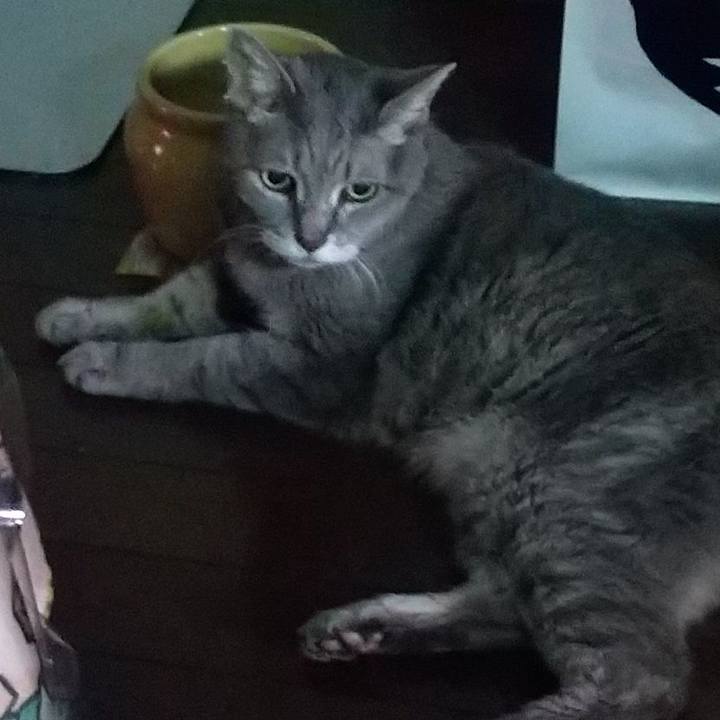 F25628f2 345d 4961 a016 190399a7d61d 1694904907207