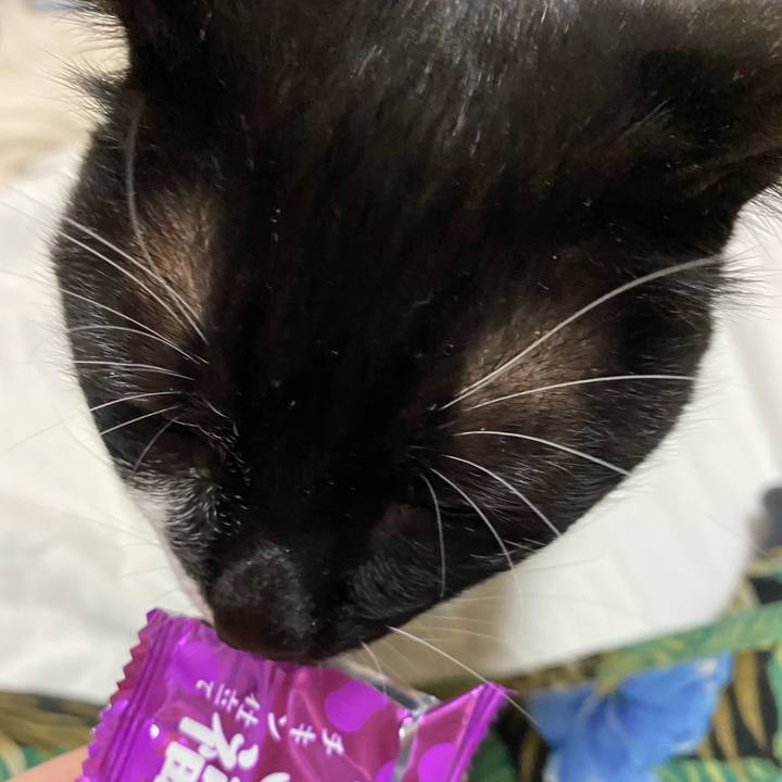 F2562e56 a5e7 4ec7 942a bcc05f1179e9 1617454893469