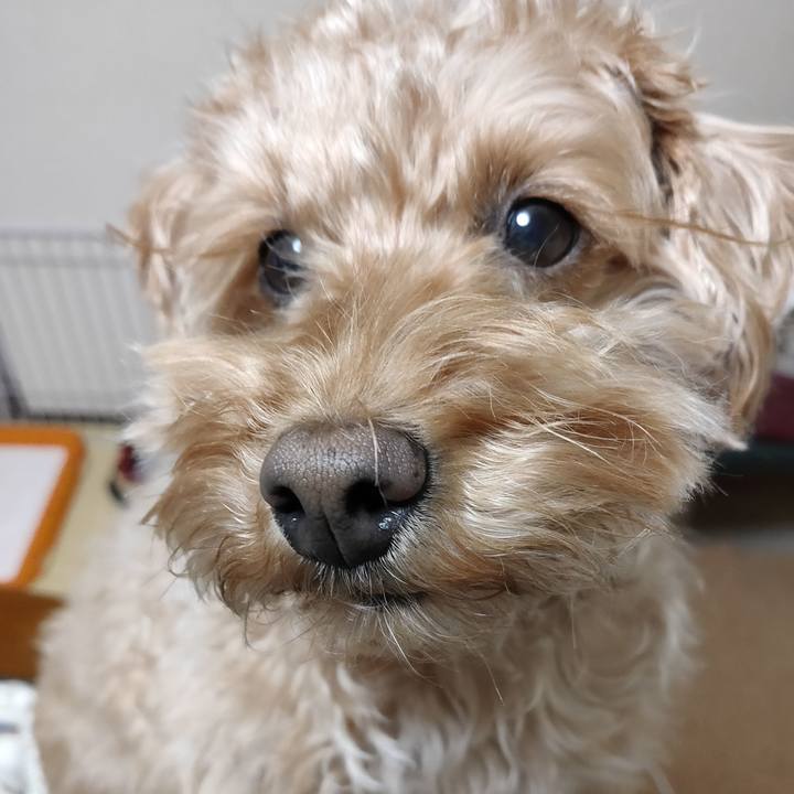 F25634a8 b895 4b9c 9f39 0021652e8c96 1584103123987