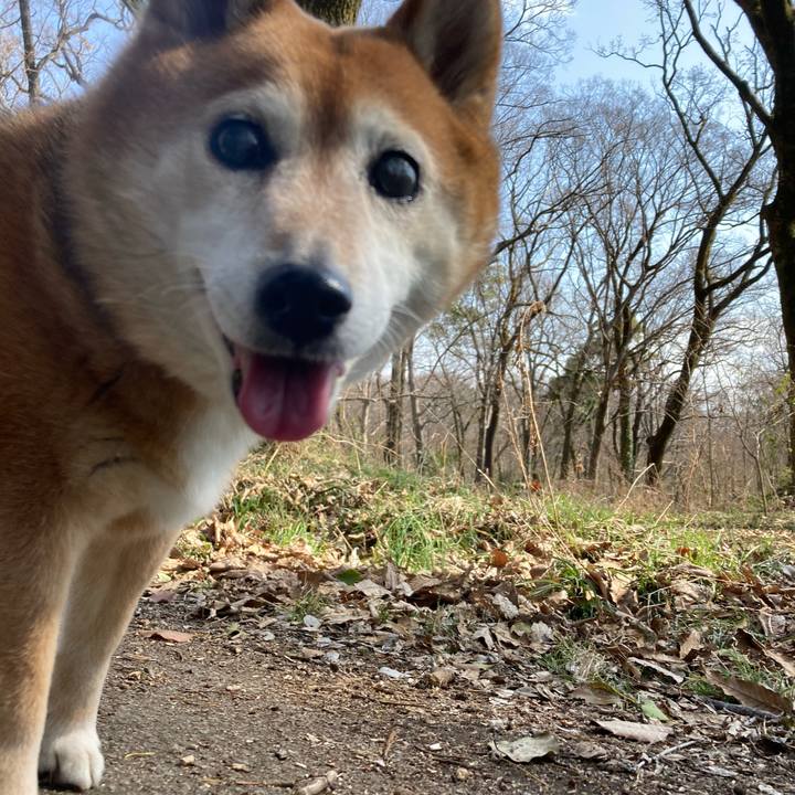 F2563530 acd4 4a48 b9ed 0ffb80d32863 1678419950449