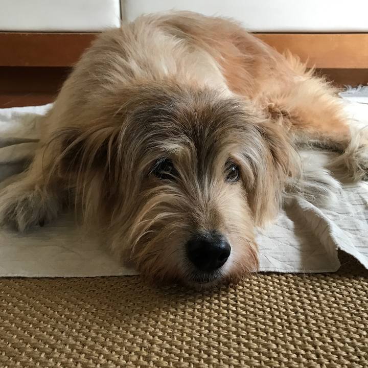 F2566a8e 7605 45be 93b7 6c97db953bdc 1574762931943